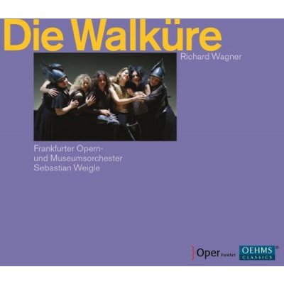 Wagner Richard - Die Walkure CD – Hledejceny.cz