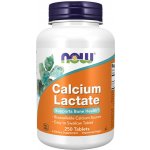 Now Calcium Lactate Vápník laktát vápenatý 250 tablet – Hledejceny.cz