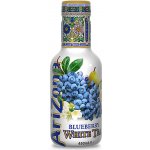 Arizona Blueberry White Tea 450 ml – Zboží Mobilmania