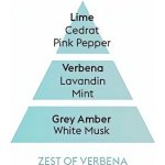 Maison Berger Paris náplň Zest Of Verbena 2 ks – Hledejceny.cz