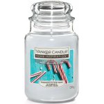 Yankee Candle Candy Cane Forest 538 g – Zboží Mobilmania