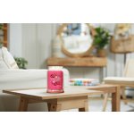 Yankee Candle Signature Red Raspberry 567 g – Hledejceny.cz