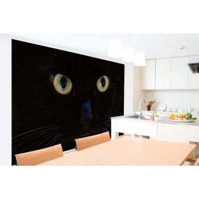 Dimex MA-5-0553 Samolepicí vliesová fototapeta na zeď Pohled černé kočky rozměry 375 x 250 cm – Zboží Mobilmania
