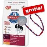 Hill’s Puppy Growth Lamb & Rice 12 kg – Hledejceny.cz