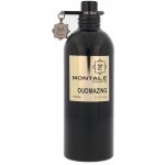 Montale Oudmazing parfémovaná voda unisex 100 ml – Hledejceny.cz