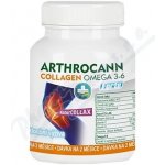 Annabis Arthrocann Collagen Omega 3-6 Forte 60 tablet – Hledejceny.cz