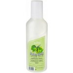 Alpa lak na vlasy náhradní náplň lípa 500 ml – Zboží Dáma