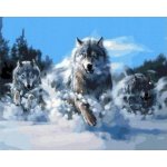 Norimpex Diamantové malování Vlčí smečka 30 x 40 cm – Sleviste.cz