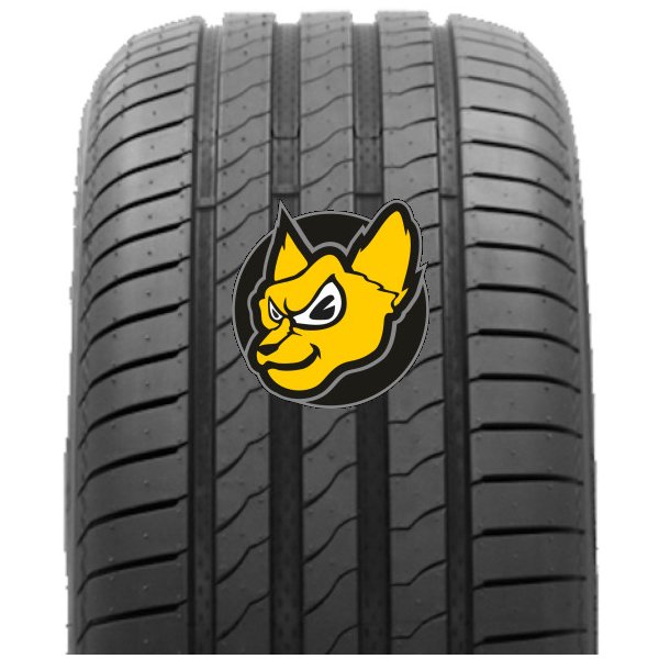 Osobní pneumatika Roadhog S02 205/45 R16 87W