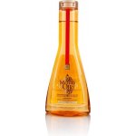 L'Oréal Mythic Oil šampon pro pevné nepoddajné vlasy 250 ml – Hledejceny.cz