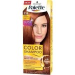 Pallete Color Shampoo 218 Zářivě jantarový tónovací barva na vlasy – Sleviste.cz