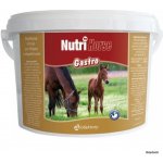 NutriHorse Gastro 2,5 kg – Zboží Dáma