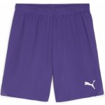 Puma teamGOAL Shorts – Zboží Dáma