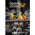 Nástěnný Helma Colour Art, 31,5 x 45 cm 2026 – Hledejceny.cz