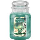 Country Candle Tinsel Thyme 680 g