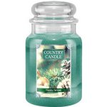 Country Candle Tinsel Thyme 680 g – Zbozi.Blesk.cz