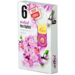 Admit Tea Lights Orchid 6 ks – Sleviste.cz