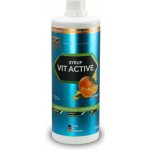 Z Konzept Vit Active Syrup Low Carb 1000 ml – Hledejceny.cz