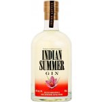 Duncan Taylor Indian Summer Saffron Infused Gin 46% 0,7 l (holá láhev) – Zboží Dáma