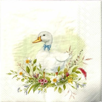 Ubrousek 33x33 cm Kachna – Zbozi.Blesk.cz