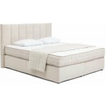 Bonami Selection Olia Bold Line béžová – Zboží Mobilmania