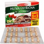 Terezia Company Hlíva ústřičná + laktobacily + vitamin C 60 kapslí – Hledejceny.cz