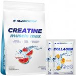 AllNutrition Creatine Muscle Max 1000 g – Zboží Dáma