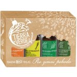 Tierra Verde Sada osvěžovačů vzduchu - K provonění zimních dní 4 x 100 ml – Zboží Dáma