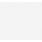 A.S. Création 953131 vliesová tapeta na zeď Meistervlies rozměry 0,75 x 25 m – Zbozi.Blesk.cz