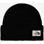 The North Face Salty Bae Lined beanie tnf black – Hledejceny.cz
