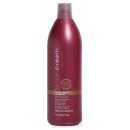 Inebrya Pro-Color Color Perfect Shampoo 1000 ml