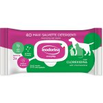 Inodorina Ubrousky Chlorhexidine 40 ks – Sleviste.cz