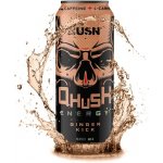 USN Qhush Energy drink Ginger 0,5 l – Zbozi.Blesk.cz