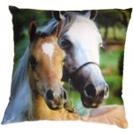 Dadka Polštář tři koně Fotopolštář Tři koně 40x40 – Hledejceny.cz