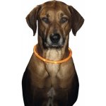 Karlie obojek Svítící Visio Light s LED diodami – Sleviste.cz