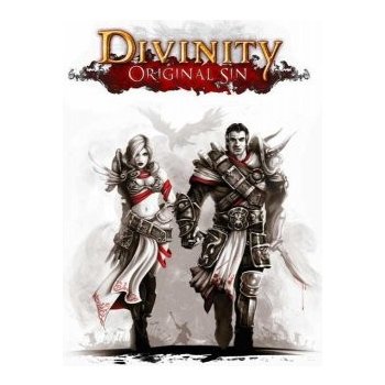 Divinity: Original Sin (Enhanced Edition)