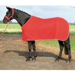 BUSSE Deka odpocovací Show red silver – Zbozi.Blesk.cz