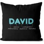 Impar Polštář Mužská jména NEON Jméno David 40x40 – Zboží Dáma