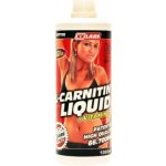 XXtreme Nutrition L-Carnitin 66700 1000 ml – Hledejceny.cz