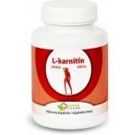 Natural Pharm L karnitín 100 tablet – Hledejceny.cz