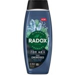 Radox Sprchový gel a šampon pro muže 2v1 Feel Energised 450 ml – Hledejceny.cz
