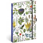 Kateřina Winterová Notes Bylinky tečkovaný 13 x 21 cm – Hledejceny.cz