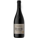 Tarapacá Carmenere Gran Reserva 2021 14% 0,75 l (holá láhev) – Hledejceny.cz