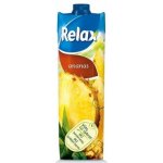 Relax 100% ananas s dužinou 1l – Zbozi.Blesk.cz