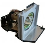 Lampa pro projektor Optoma DE.5811118436-SOT, Originální lampa s modulem – Zboží Živě
