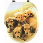 Novaservis Prestige WC/STENATA – Zboží Mobilmania