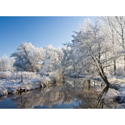 WEBLUX 10232237 Fototapeta vliesová frost and a blue sky mráz a modrou oblohu rozměry 270 x 200 cm – Zboží Mobilmania
