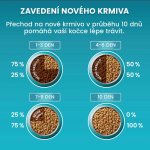 Purina ONE Bifensis Senior 7+ kuře a celozrnné obilniny 0,8 kg – Zboží Dáma