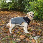 Scruffs termo obleček pro psa. – Zboží Mobilmania