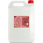 Ecoliquid Antiviral dezinfekce na ruce sprej spicy apple 5 l – Zboží Dáma